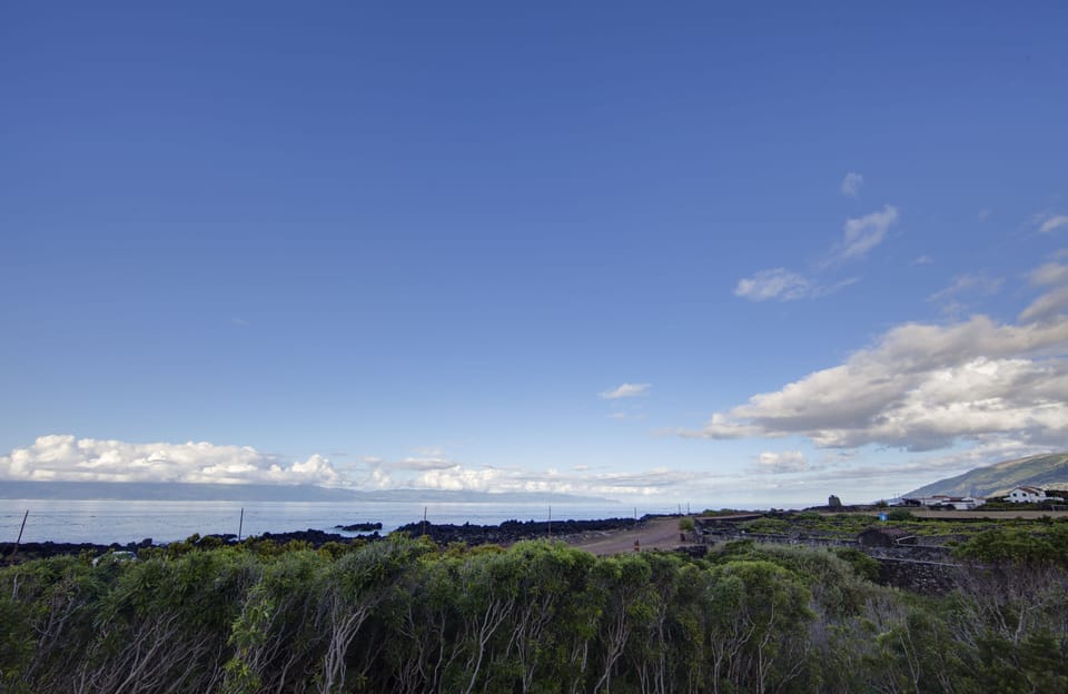 House (Fogo) | Beach/ocean view