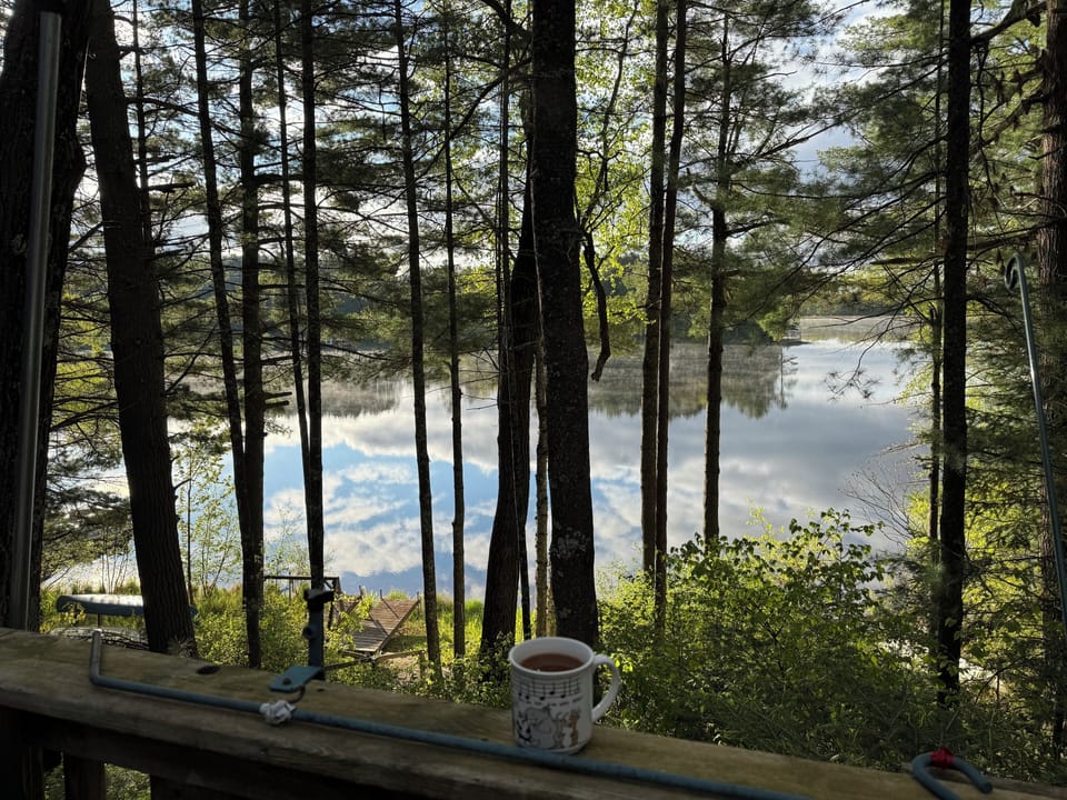 View from property
