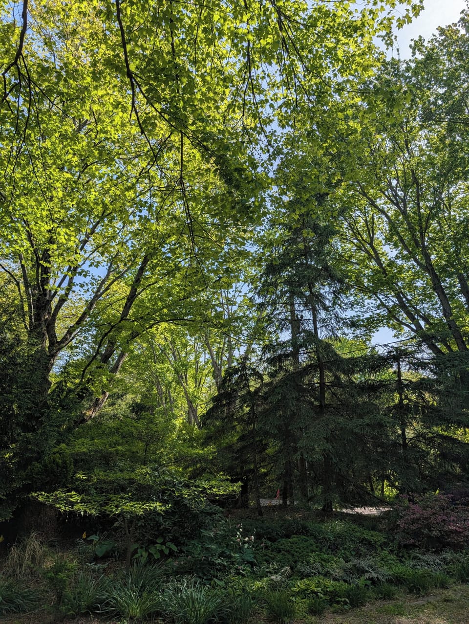 Miscellaneous