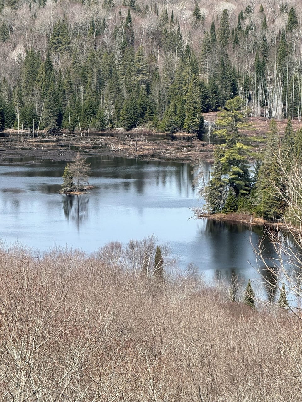 View from property