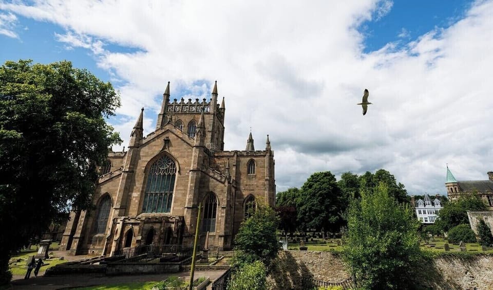 Image 15
