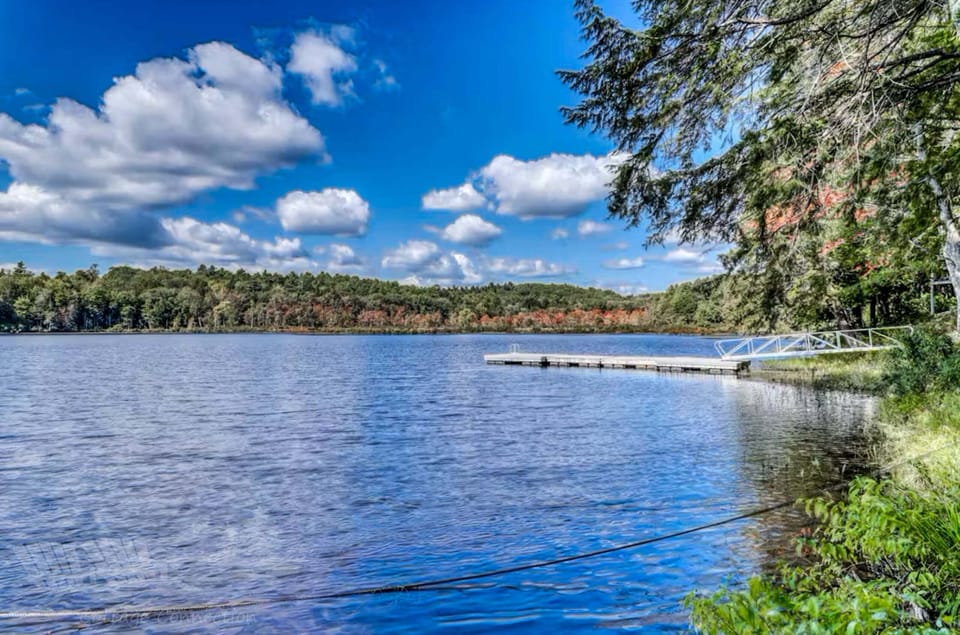 View of the Pond