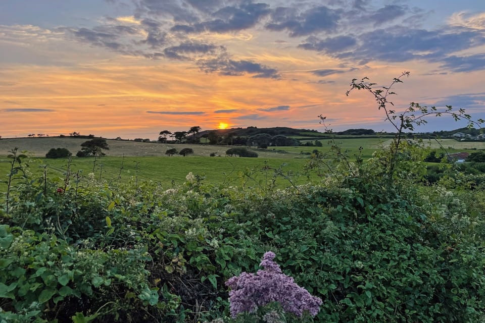 The view of the fields behind the woodlands at Fort Victoria