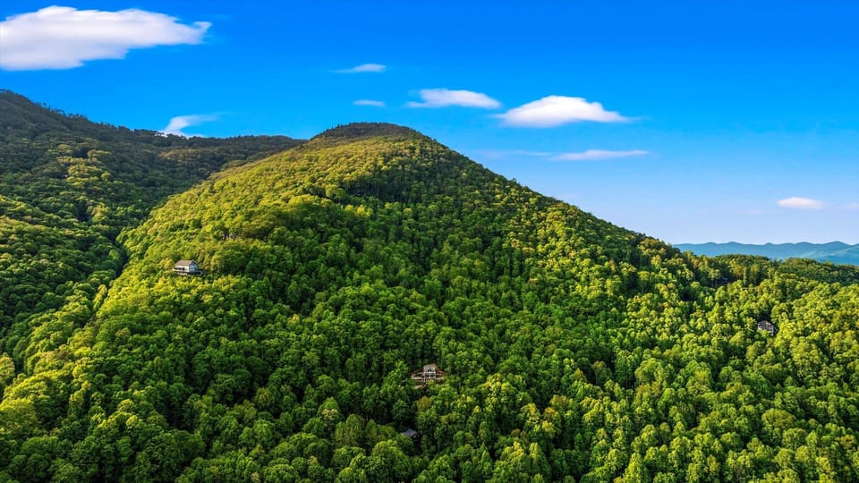 Hidden in the hills, this tranquil cabin is your nature escape