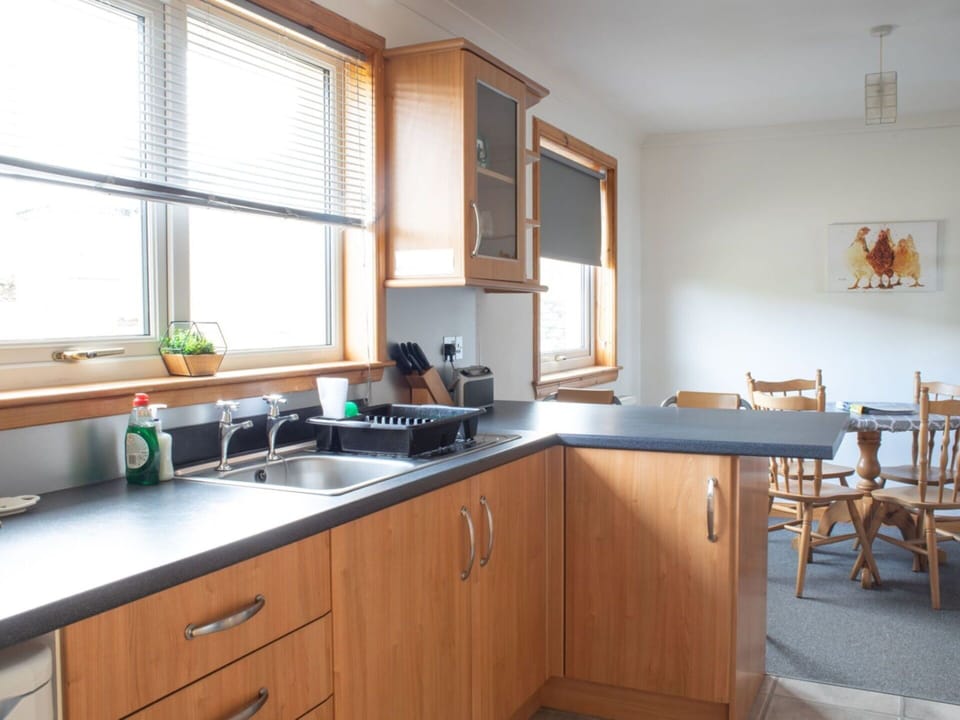 Furniture, Kitchen, Countertop, Interior Design, Kitchen Appliance, Cabinetry, Wood, Flooring, Major Appliance, Kitchen Sink