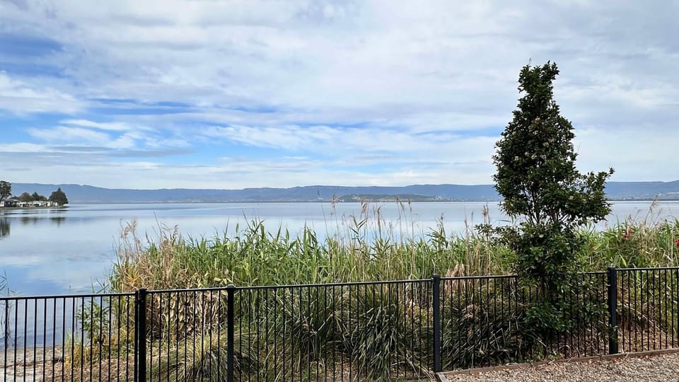 Looking on to Lake Illawarra  - backyard