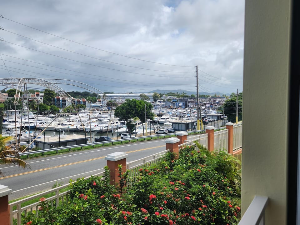 View from Balcony