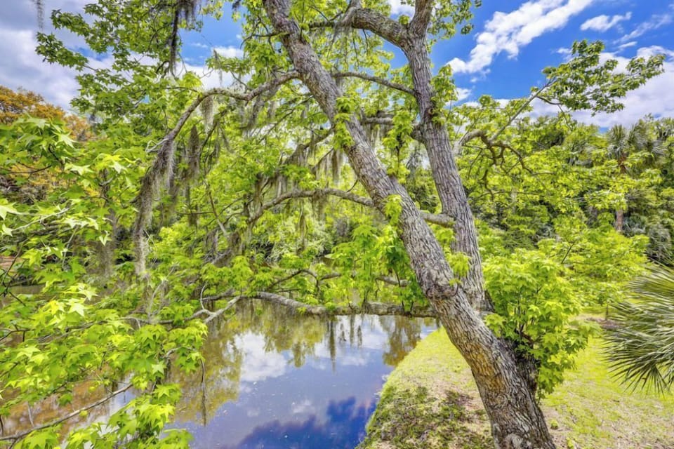 Lagoon View