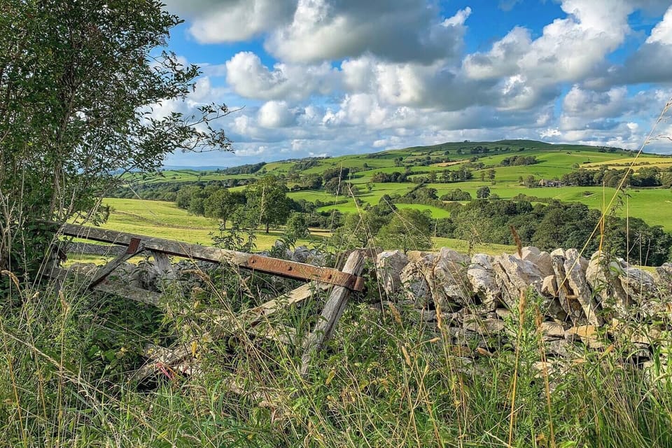 Looking back towards the farm on a local walk. 