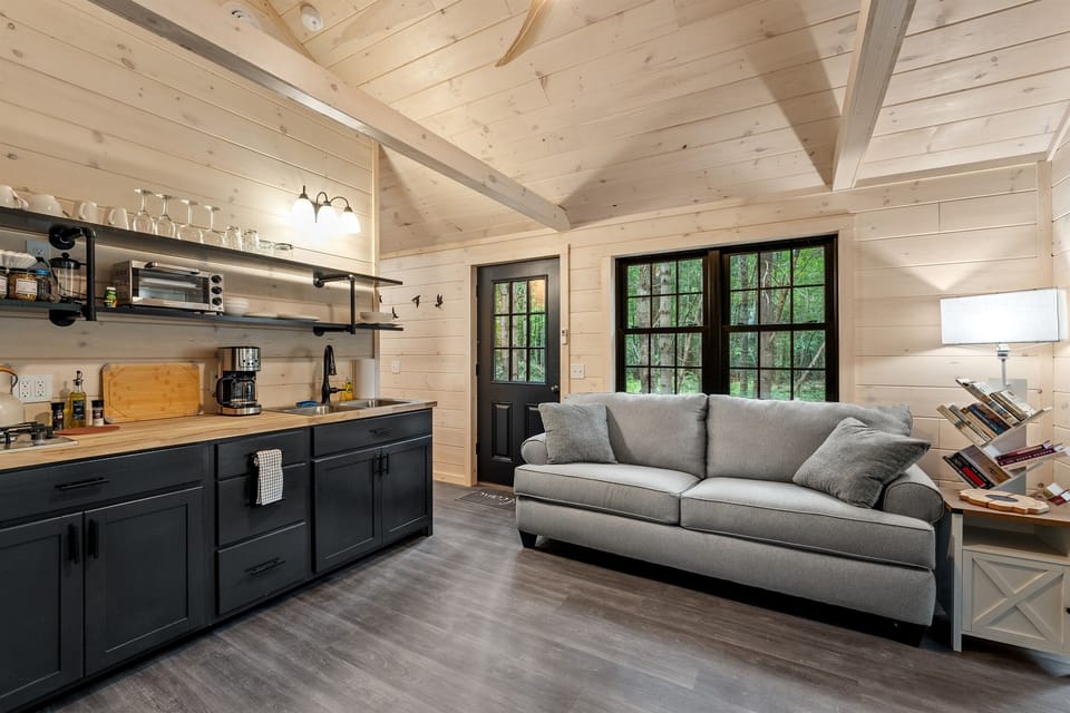 Living room with pull out sofa