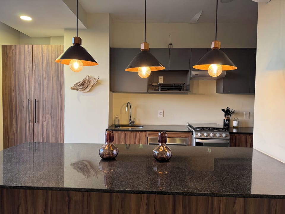 Deluxe Apartment, City View | Private kitchen | Espresso maker, coffee/tea maker