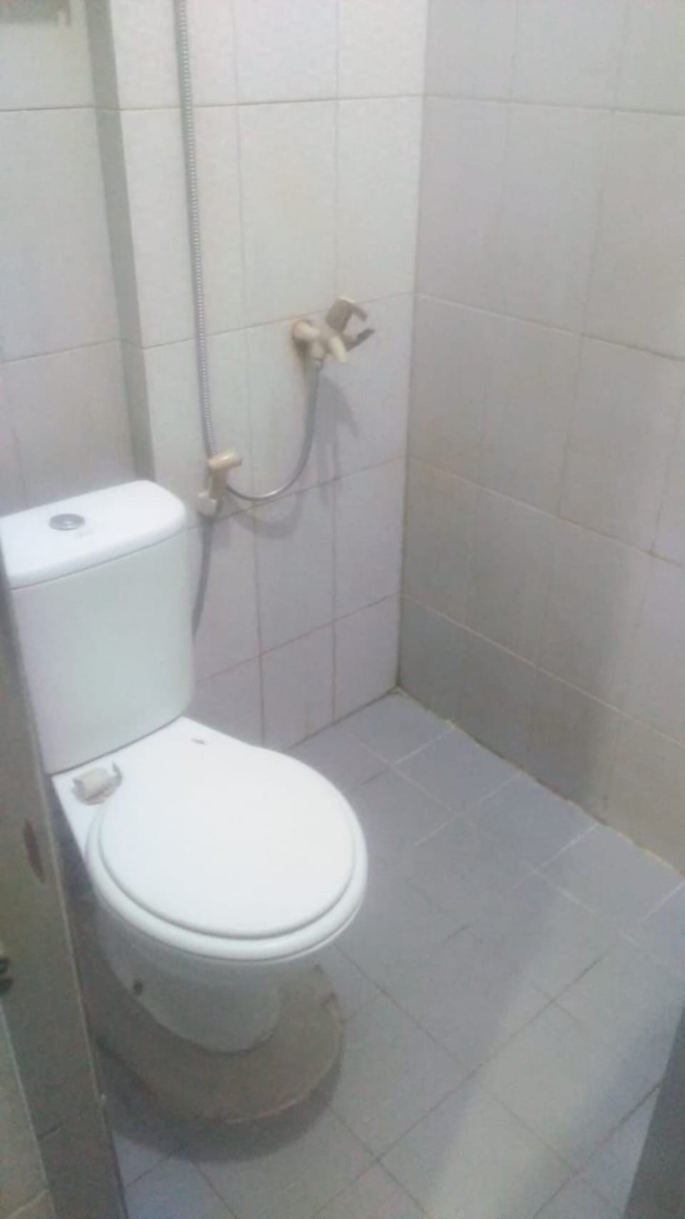 Shower, bidet, shampoo