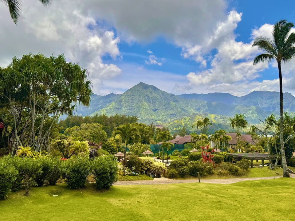 View from the patio