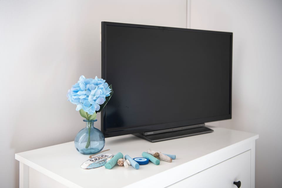 Television