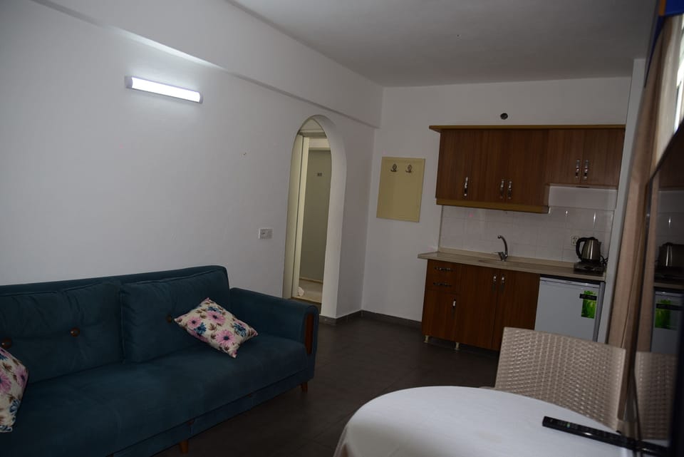 Basic Apartment, Balcony, City View