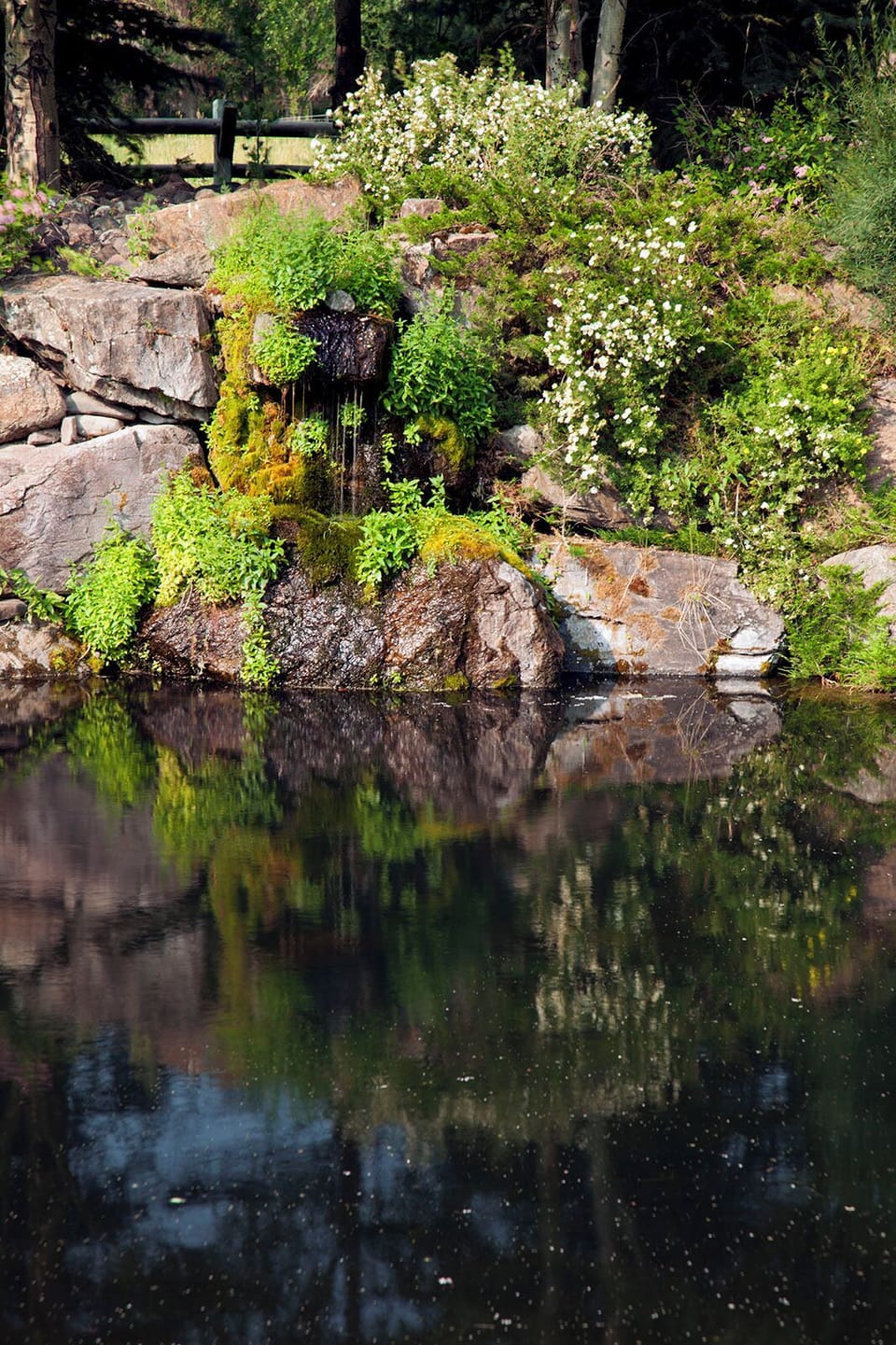 One of two ponds on property