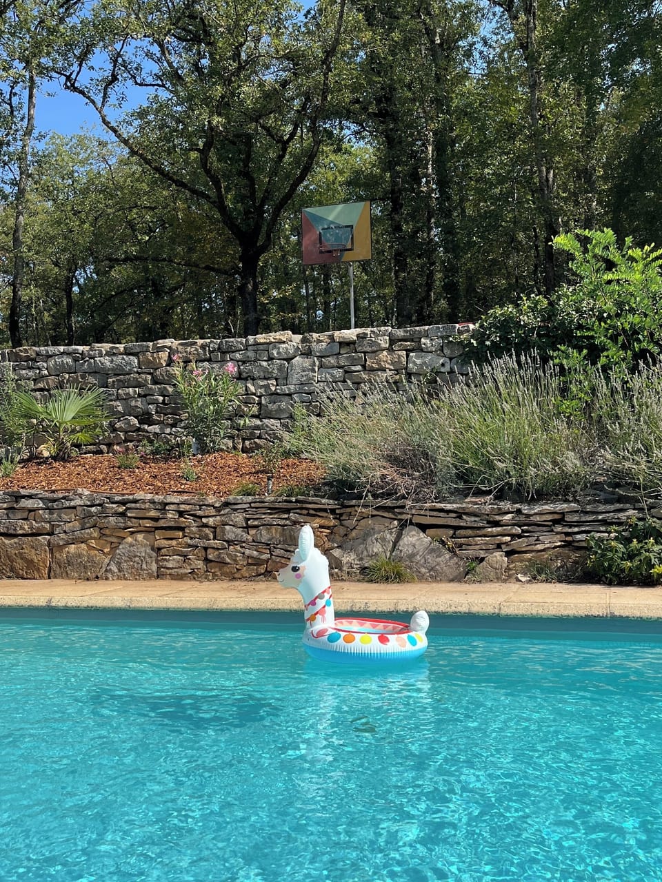 Shared swimming pool with diving board