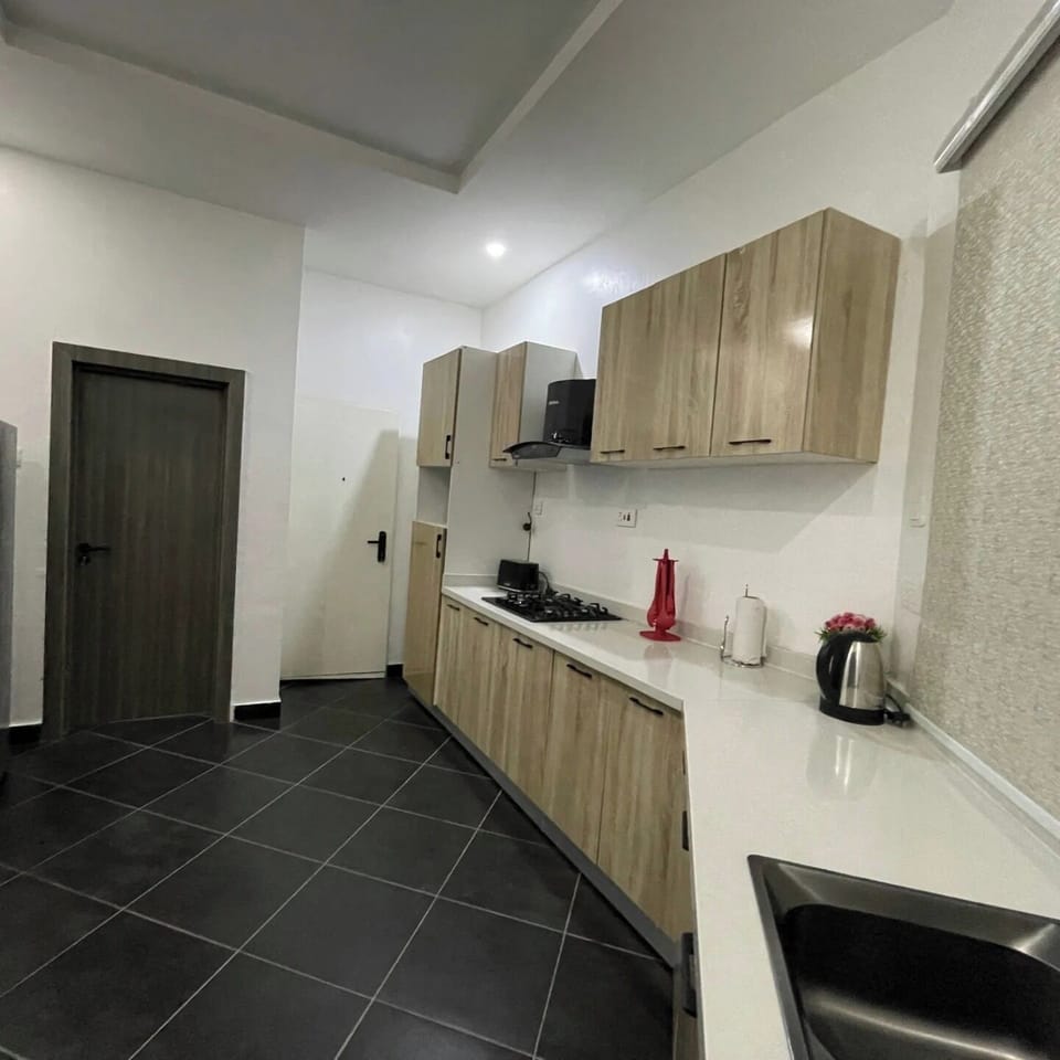Family Apartment, Balcony, City View | Private kitchen | Fridge, microwave, oven, stovetop