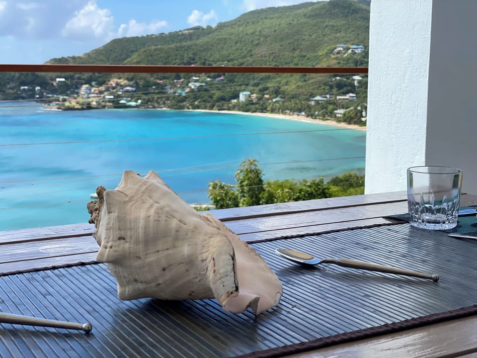 View from dining table