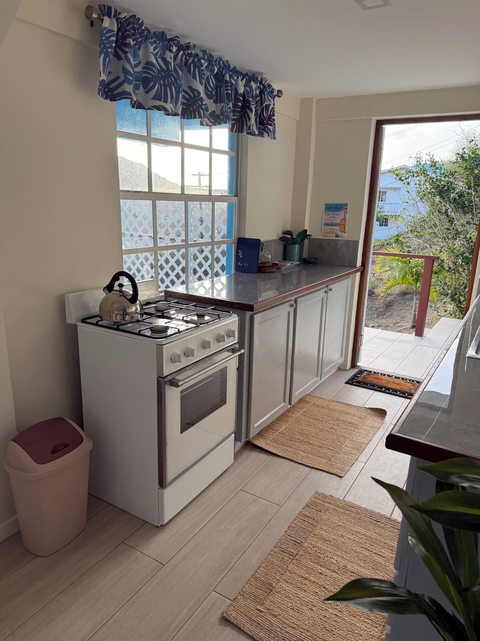 Kitchen and entrance door
