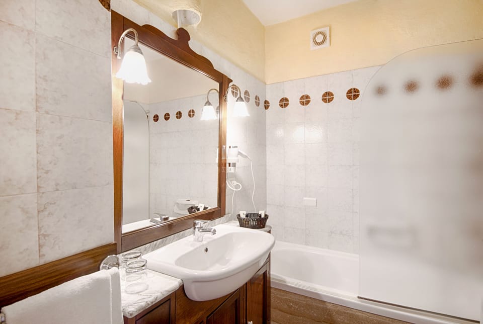 Combined shower/tub, hair dryer, bidet, towels