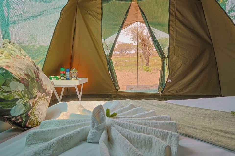Basic Tent, 2 Twin Beds, River View | 1 bedroom
