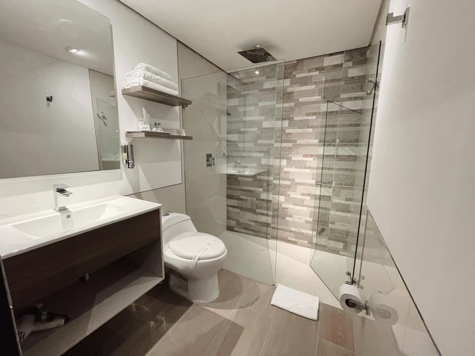 Premium Room | Bathroom | Shower, hair dryer, towels