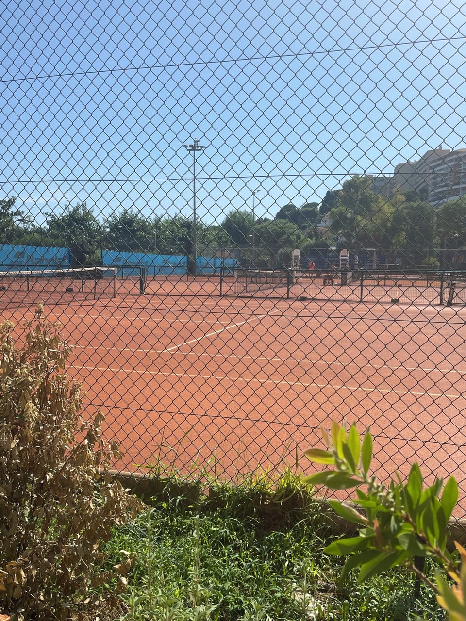 Sport court