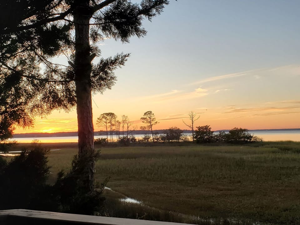 View from property