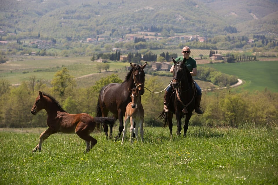 Horseback riding