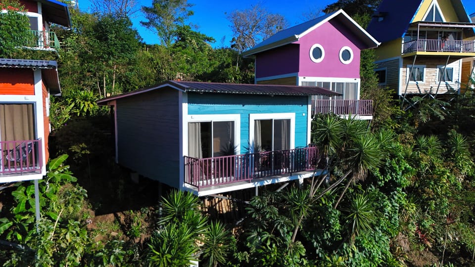 Cabin #4
Color was inspired by the blue whiskered Tanager bird. 