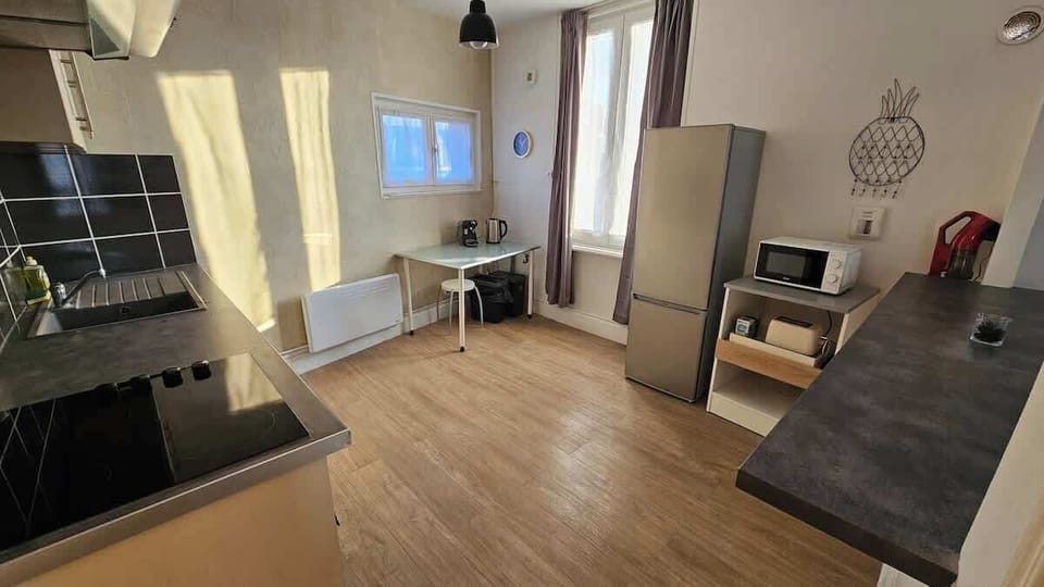 Cuisine semi ouverte sur le salon, équipée avec plaques de cuisson, four machine à café, réfrigérateur avec congélateur, bouilloire, grille-pain et micro-ondes.