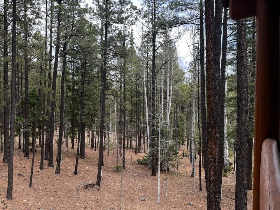 View from Deck