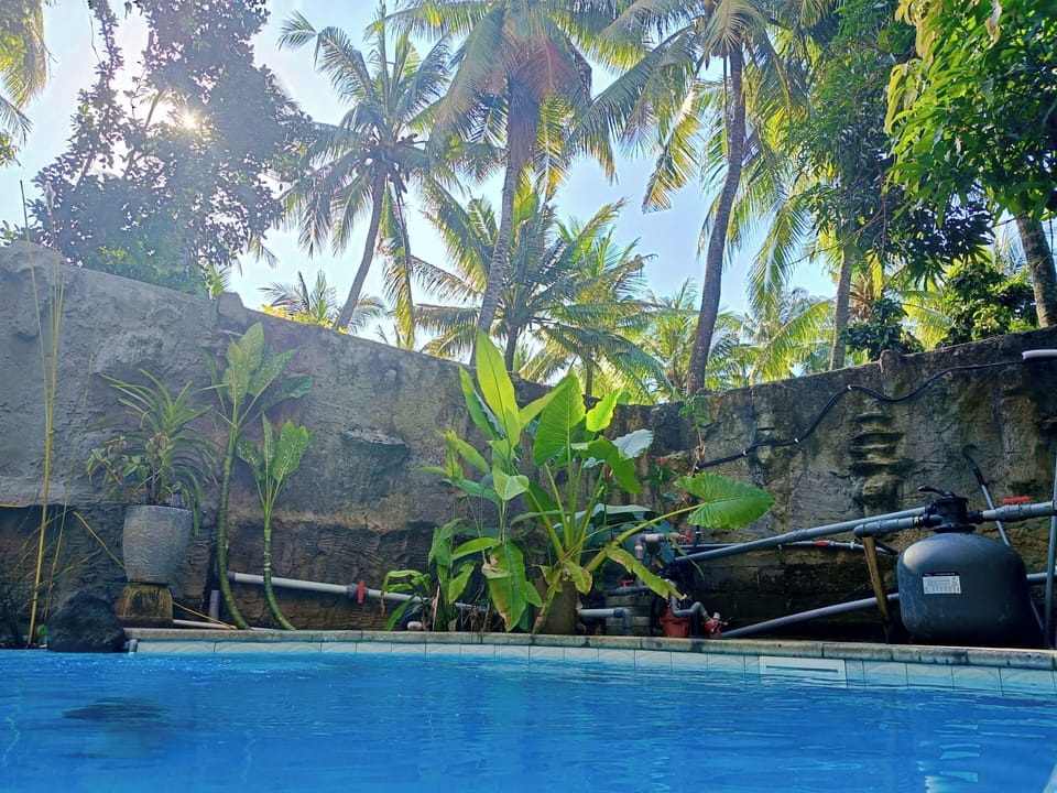 Outdoor pool, open 7:00 AM to 10:00 PM, sun loungers