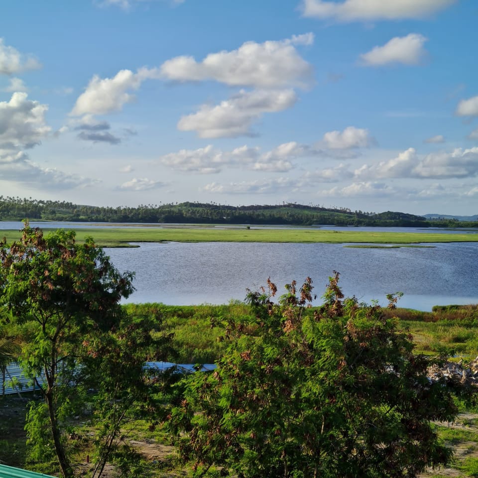 Land view from property
