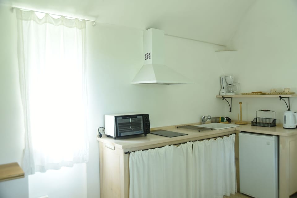 Classic Apartment, Patio | Private kitchen | Mini-fridge, stovetop, cookware/dishes/utensils