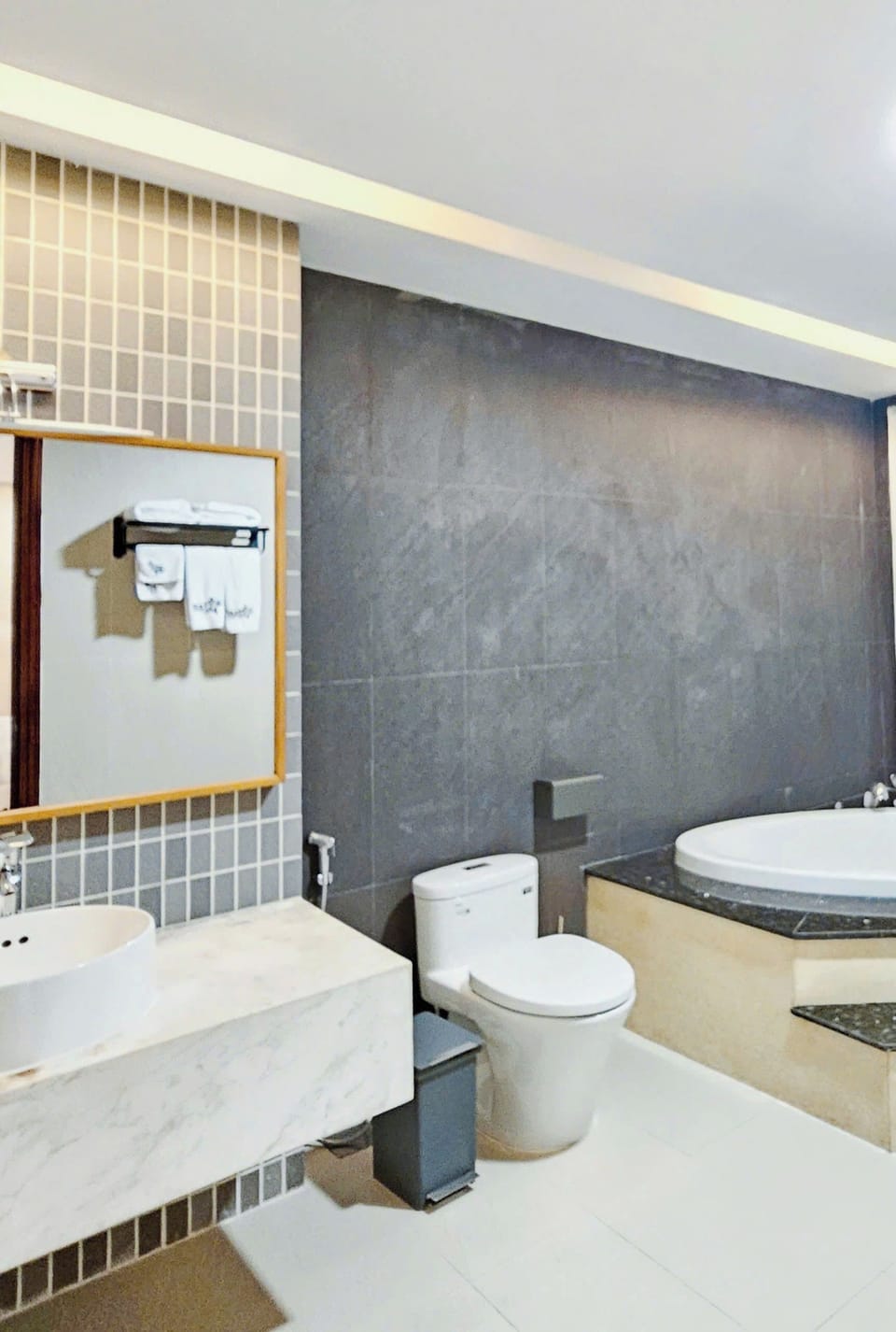 Deluxe Suite | Bathroom | Free toiletries, hair dryer, slippers, towels