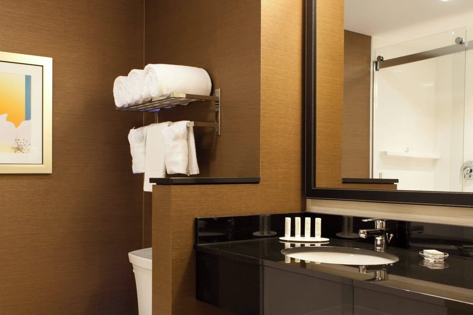 Free toiletries, hair dryer, towels