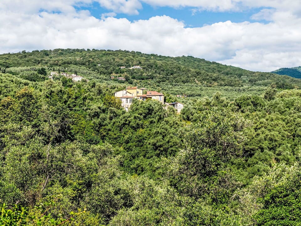 Nature, Natural Environment, Leaf, Vegetation, Natural Landscape, Hill, Ecoregion, Landscape, Plant Community, Forest