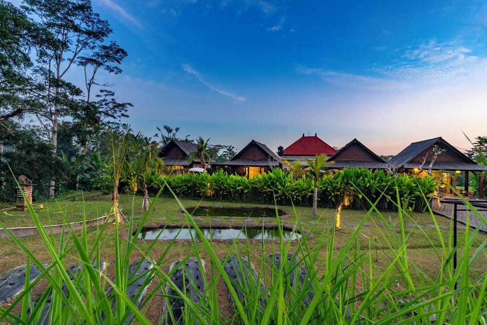 Luxury Villa, 1 King Bed, Private Pool, Garden View | Garden view