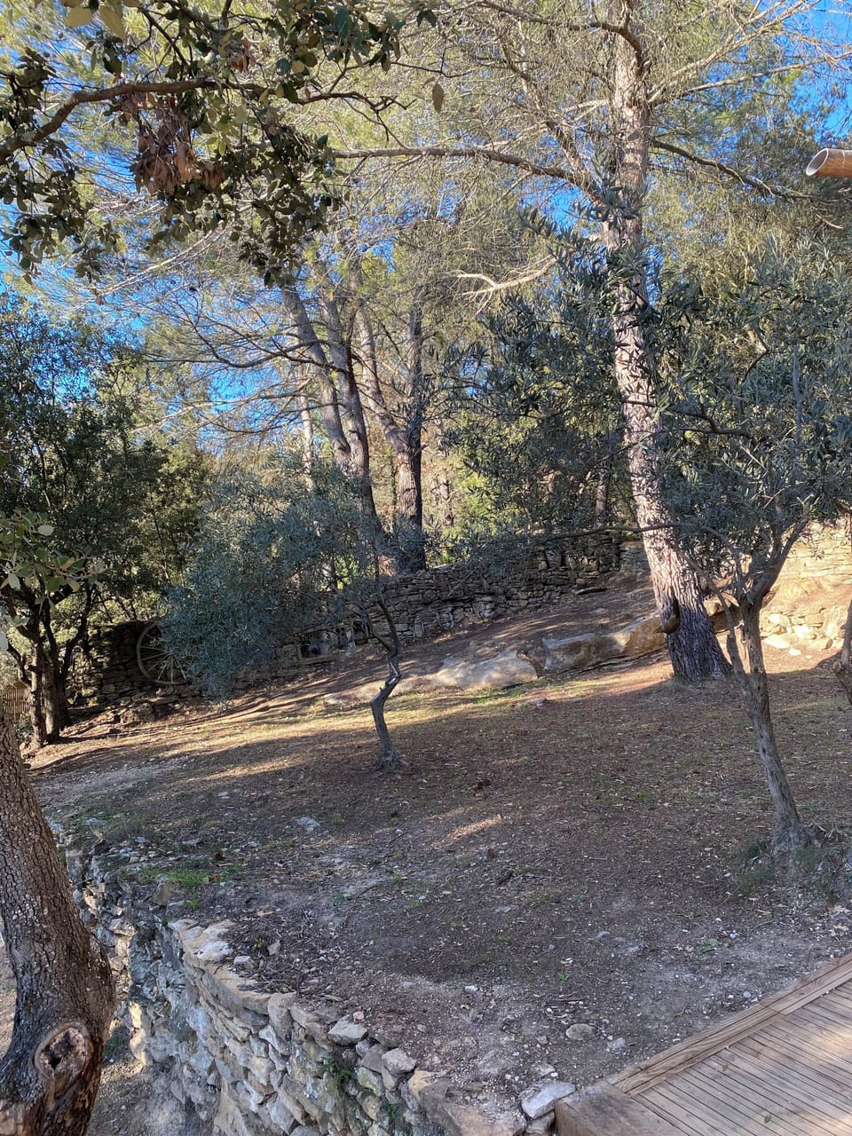 Property grounds