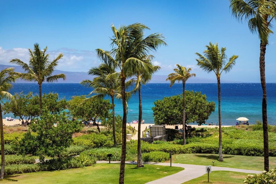 Gorgeous island views of the ocean and swaying palms HKH-204