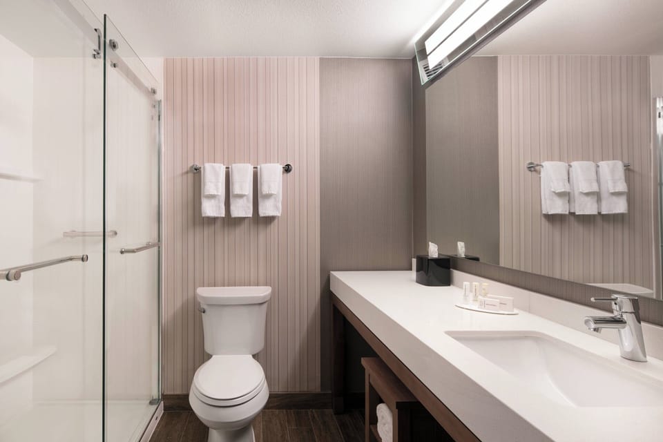 Shower, free toiletries, hair dryer, towels