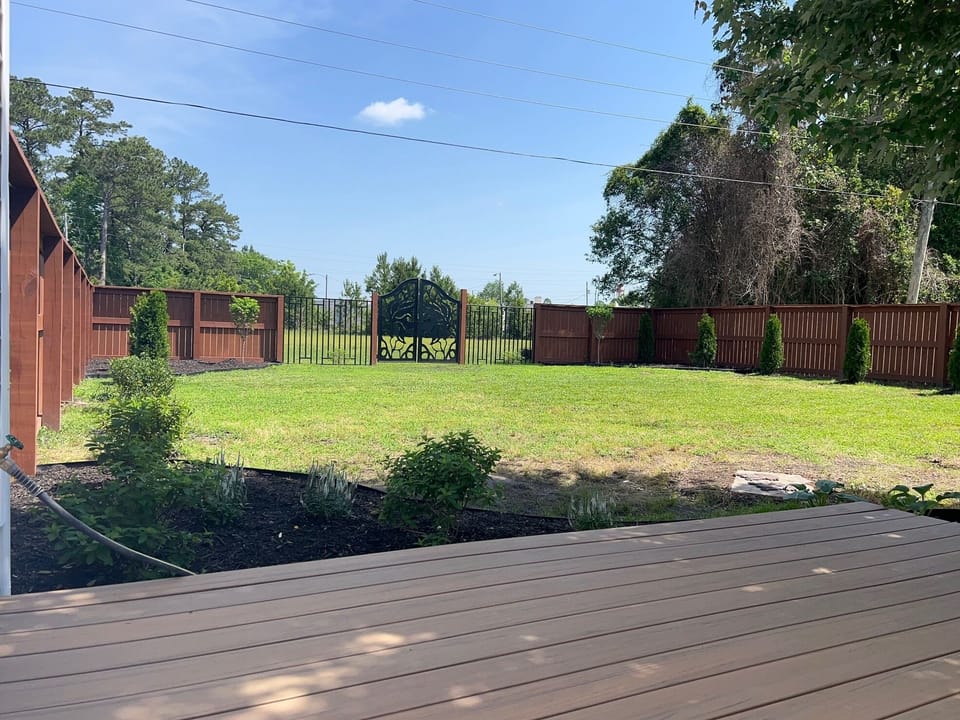 View off the back deck.