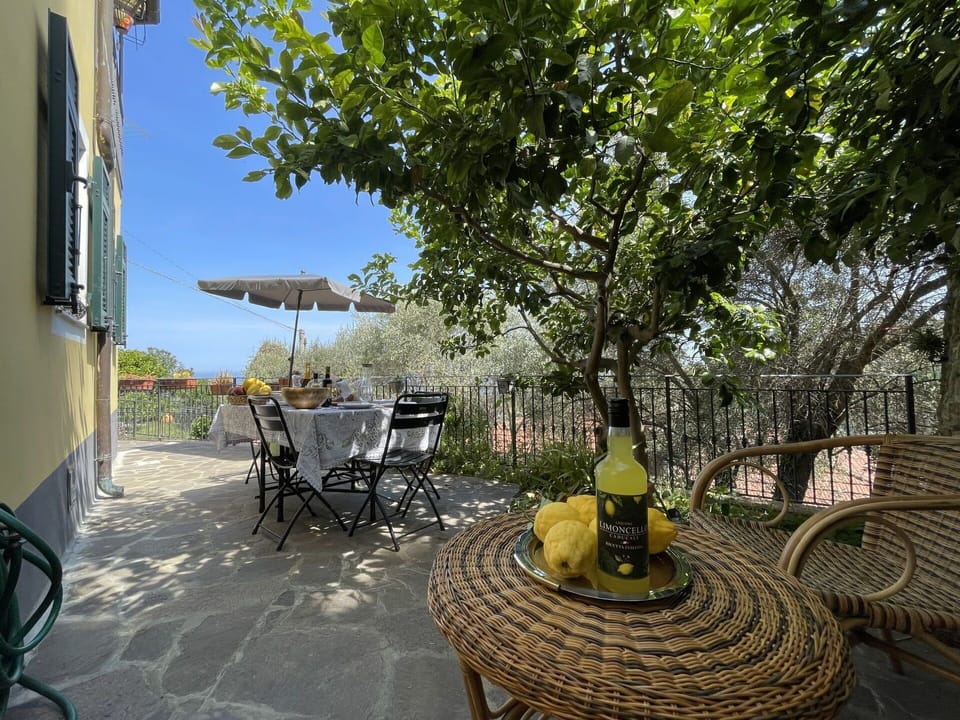 Table, Plant, Furniture, Chair, Flowerpot, Tree, Outdoor Furniture, Road Surface, Outdoor Table, Sky