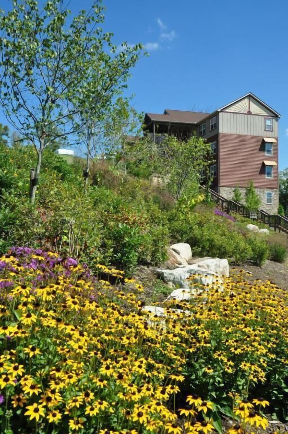 Nestled among vibrant gardens and natural landscapes, this Sedona retreat boasts a stunning exterior that complements its beautiful surroundings.