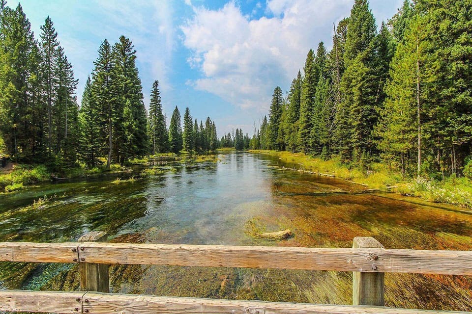 Framed by towering pines, the crystal-clear waters beckon exploration and wonder, creating the perfect backdrop for family storytelling under the sun.