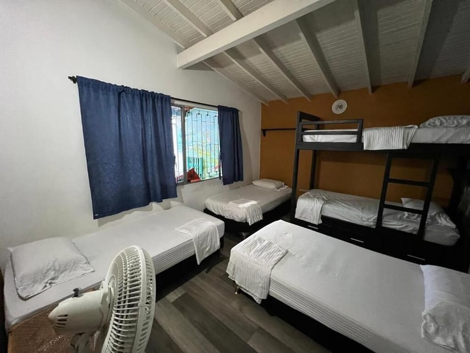 Standard Shared Dormitory | Iron/ironing board