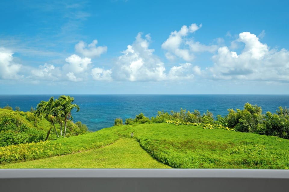 View from Lanai