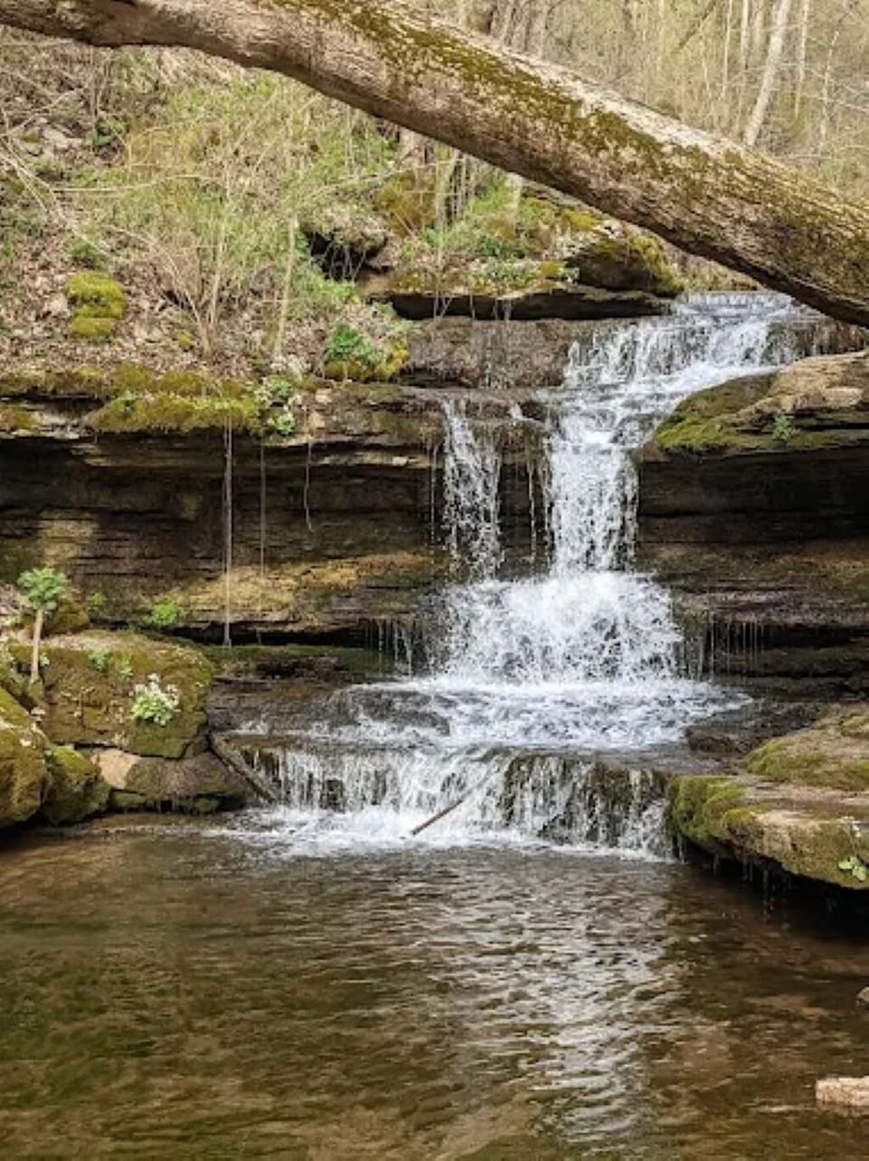 Jessamine Creek Gorge